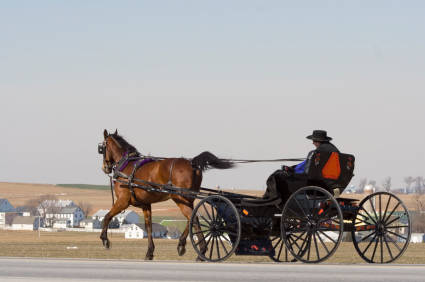 amish courting buggy