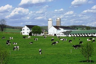 Lancaster County Dairy Farm