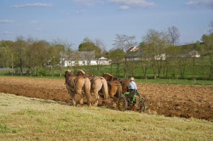 horse-drawn equipment on Amish family farm in Lancaster County
