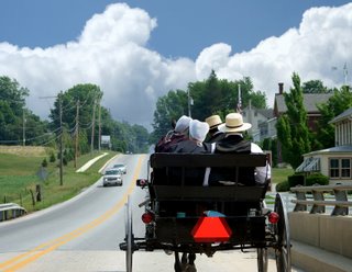 Amish Buggy and Car in Lancaster County