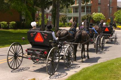 amish on horse and buggy